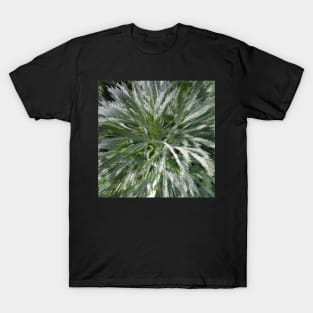 Stocksom Artemisia 1 T-Shirt